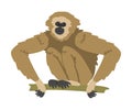 Gibbon Monkey as Arboreal Herbivorous Ape Sitting on Tree Branch Vector Illustration