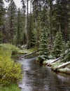 Snowy Creek in Yellowstone