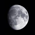 Gibbous Moon