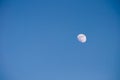 Gibbous moon on a blue sky