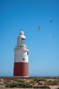 Gibraltar lighthouse, Europa point and accipitridae flying in the sky. Royalty Free Stock Photo