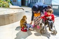 Gibraltar macaques harassing tourists