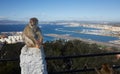 Gibraltar, points of interest in the British overseas area on the southern spit of the Iberian Peninsula,