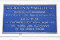 Gideon A. Mantell Plaque in Lewes