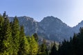 Giewont Mountain Sleeping Knight in Tatra Mountains in Poland, view of the Great Giewont peak with steel cross among pine trees