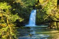 Gifford Pinchot National Forest Head of the Kalama River Royalty Free Stock Photo