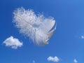 Gift of the Angel Royalty Free Stock Photo