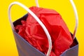 Gift Bag Royalty Free Stock Photo