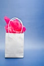 Gift Bag Royalty Free Stock Photo