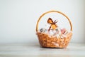 Gift basket on grey background Royalty Free Stock Photo