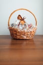 Gift basket on grey background Royalty Free Stock Photo