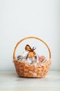 Gift basket on grey background Royalty Free Stock Photo