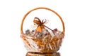 Gift basket on white background