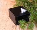 Gift black box with fir branches