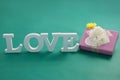 Gift box and alphabet love on green background Royalty Free Stock Photo