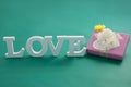 Gift box and alphabet love on green background