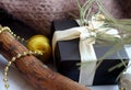 A gift box with a beige ribbon stands neatly near the branches Royalty Free Stock Photo