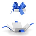 gift Royalty Free Stock Photo