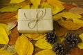 Gift box on colored autumn leaves background