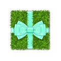 Gift box 3D. Green grass box top view, blue ribbon bow, isolated white background. Nature friendly design. Eco packaging Royalty Free Stock Photo