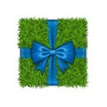 Gift box 3D. Green grass box top view, blue ribbon bow isolated white background. Nature friendly design. Eco packaging Royalty Free Stock Photo