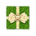 Gift box 3D. Green grass box top view, gold ribbon bow, isolated white background. Nature friendly design. Eco packaging Royalty Free Stock Photo