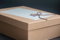 gift box on a dark contrasted background, decorated with a textured bow