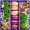 Gift box with flowers and macaroon Royalty Free Stock Photo