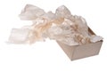Gift Box with Flowing Tissue Paper Royalty Free Stock Photo