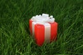 Gift box on a grass
