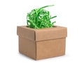 Gift box with green wrapped paper on white Royalty Free Stock Photo