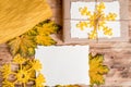 Gift box.kraft packaging.Mockup torn paper for your notes. Autumn bright dry leaves.Yellow knitted sweater.wooden background.flat Royalty Free Stock Photo