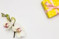 Gift box with orchid flower on white background Royalty Free Stock Photo