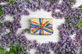 Gift box with rainbow LGBT ribbon surrounded by lilac flowers on a light wooden background