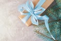 Gift box with a ribbon and christmas tree branch, top view Royalty Free Stock Photo