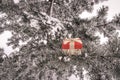 Gift box in snowy winter forest lying on branches of a fir tree bent down by thick layer of snow Royalty Free Stock Photo