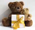 A gift box and two teddy bears Royalty Free Stock Photo