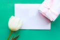 Gift box and white tulip on bright green background Royalty Free Stock Photo