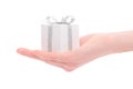 Gift box in woman's hand Royalty Free Stock Photo