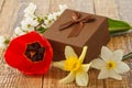 Gift box on wooden boards with flowers of daffodils, tulip and jasmine