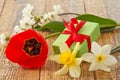 Gift box on wooden boards with flowers of daffodils, tulip and jasmine