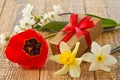 Gift box on wooden boards with flowers of daffodils, tulip and jasmine