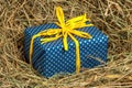 Gift box wrapped in blue polka dotted paper Royalty Free Stock Photo