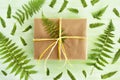 Gift box wrapped of craft paper and white and yellow ribbon on a green wooden background decorated of fern leaves. Royalty Free Stock Photo