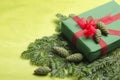 Gift box wrapped in the green paper, red ribbon and bow on the fir tree.Enpty space for text