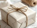 Gift Box Wrapped with Twine and Paper Royalty Free Stock Photo