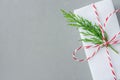 Gift box wrapped in white paper tied with striped red ribbon green juniper twig on gray background. Christmas New Years presents Royalty Free Stock Photo