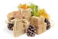 Gift boxes decorated with natural ornaments Royalty Free Stock Photo