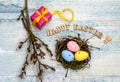 Gift boxes with ribbons. Happy Easter. Willow twigs. Holy Easter. Blue turquoise background. Easter eggs in the nest Royalty Free Stock Photo