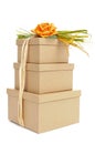 gift boxes tied with natural raffia of different colors and topped with a flower Royalty Free Stock Photo